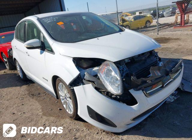Ford C-MAX 2018, VIN 1FADP5AU1JL105681, 1/5