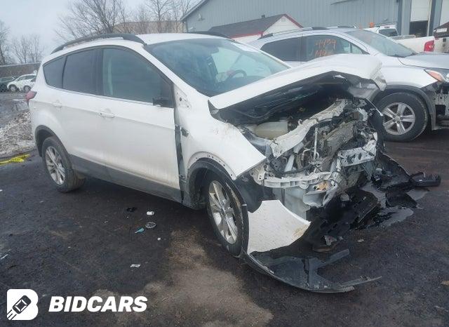 Ford Escape 2020, VIN 1FMCU0F66LUC13086, 7/11