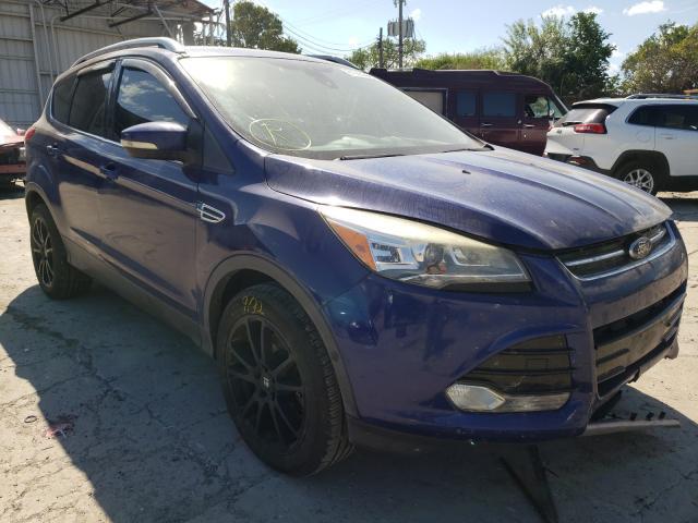 Ford Escape 2014, VIN 1FMCU0J97EUB80555, 1/5