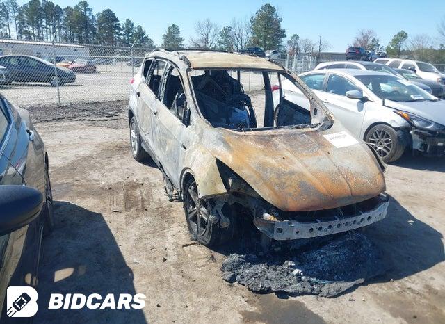 Ford Escape 2014, VIN 1FMCU9G99EUC11820, 14/21