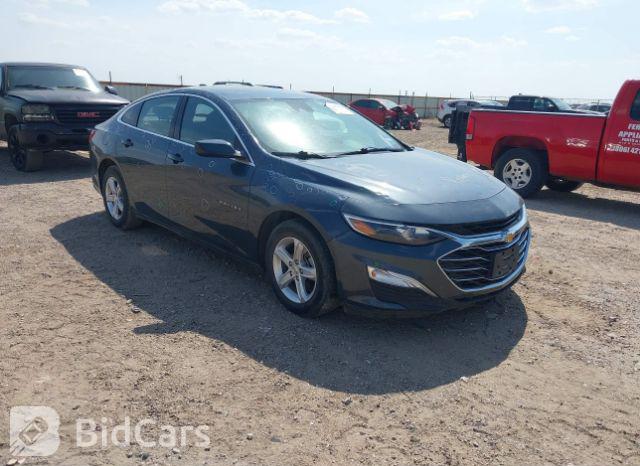 Chevrolet Malibu 2019, VIN 1G1ZG5ST5KF208178, 1/5