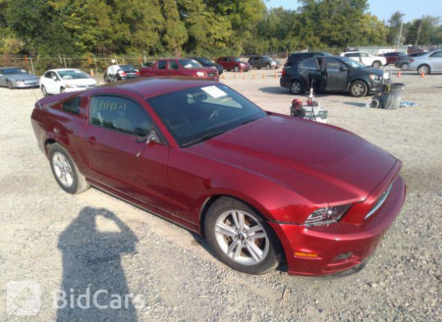 Ford Mustang 2014, VIN 1ZVBP8AM6E5265582, 16/19