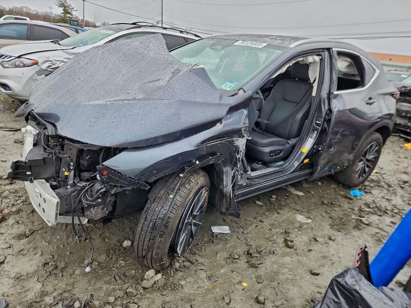 Lexus NX 2026, VIN 2T2AGCEZ3TC102973, 2/5