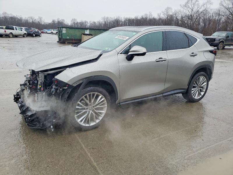 Lexus NX 2026, VIN 2T2AGCEZ3TC102973, 3/5