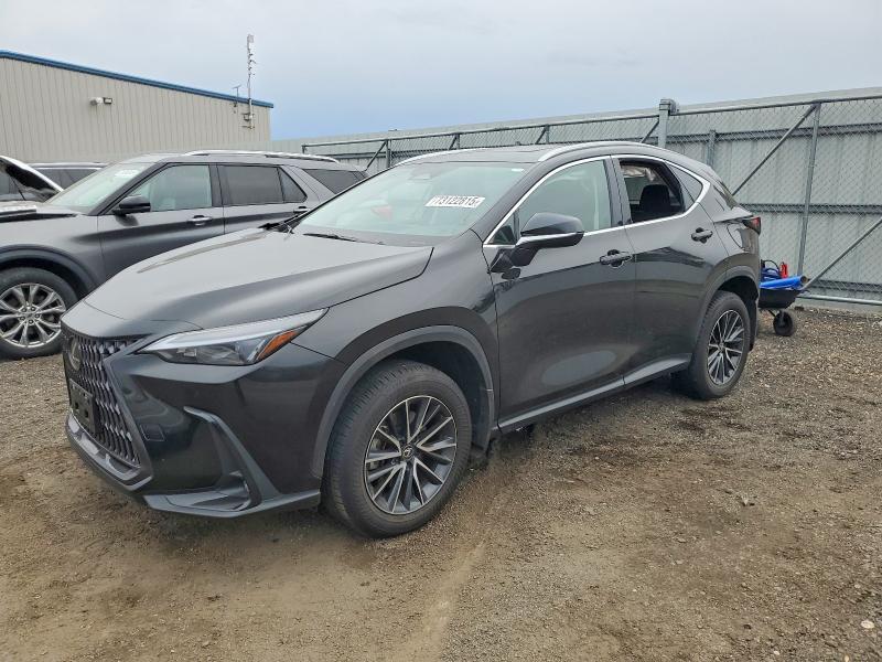 Lexus NX 2026, VIN 2T2AGCEZ3TC102973, 4/5