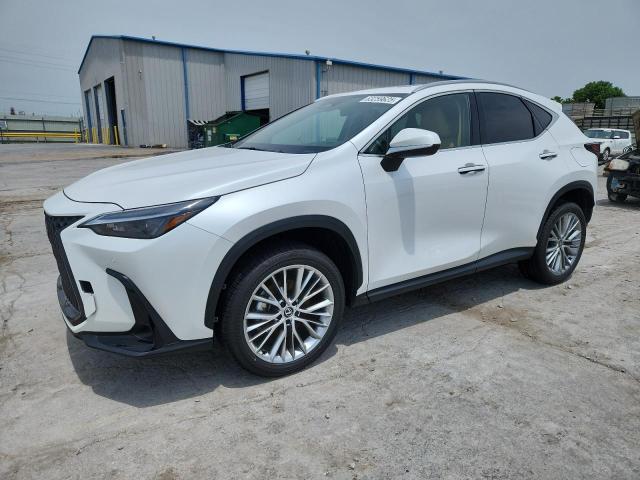 Lexus NX 2026, VIN 2T2AGCEZ6TC097266, 8/8
