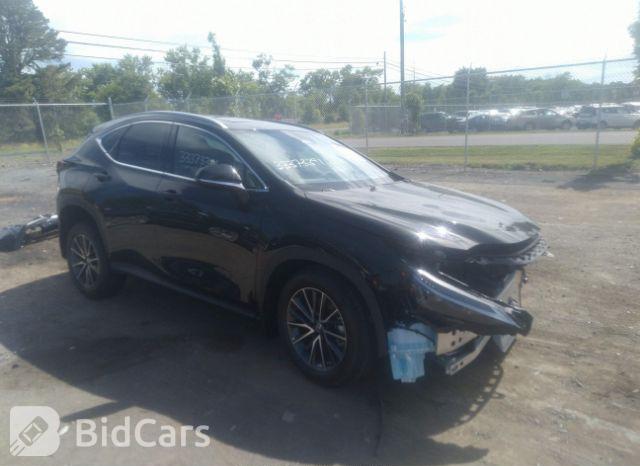 Lexus NX 2022, VIN 2T2AKCEZ5NC002181, 1/5