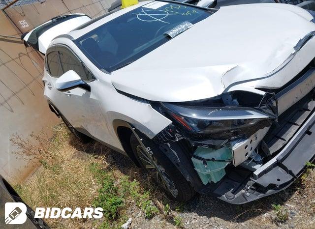 Lexus NX 250 2025, VIN 2T2GDCAZ4SC029393, 5/5