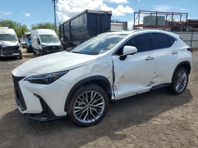 Lexus NX 2024, VIN 2T2KGCEZ4RC057619, 4/5
