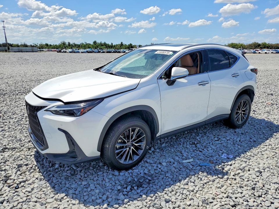 Lexus NX 2023, VIN 2T2KGCEZ6PC031181, 4/5