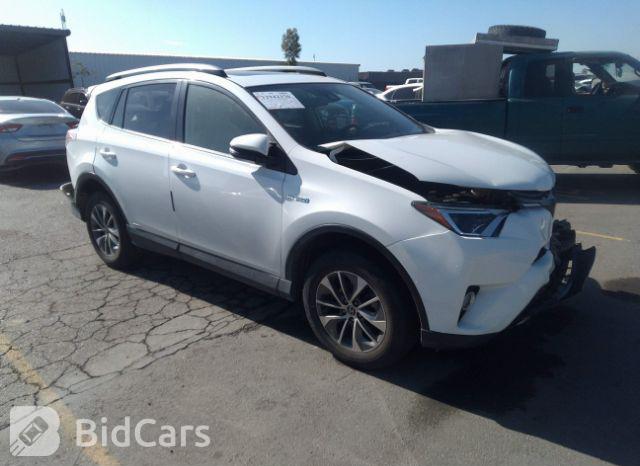Toyota RAV4 2019, VIN 2T3F1RFV5KW031001, 20/21