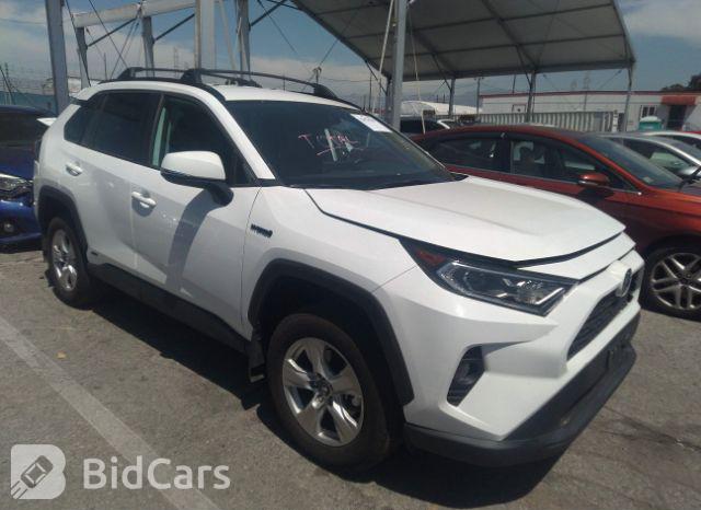 Toyota RAV4 2021, VIN 2T3G1RFV9MC164790, 20/21