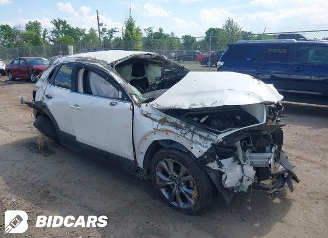 Mazda CX-30 2021, VIN 3MVDMBCL7MM311305, 11/11