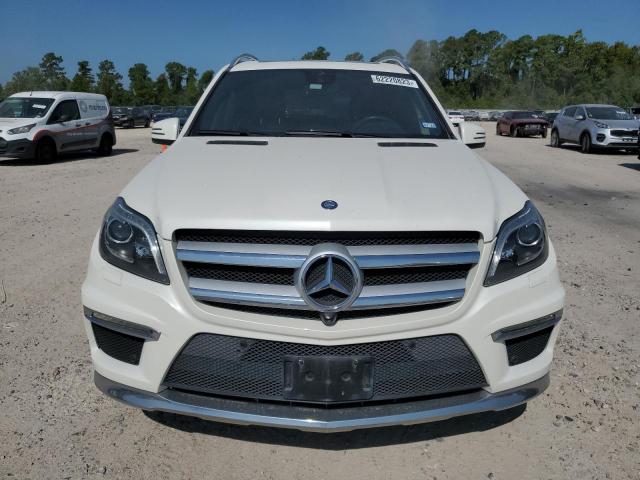 Mercedes-Benz GL-Class 2014, VIN 4JGDF7DE1EA440157, 5/20
