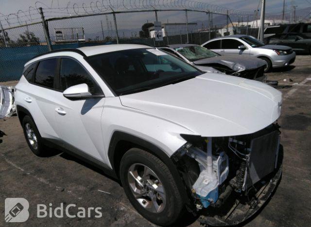 Hyundai Tucson 2022, VIN 5NMJECAEXNH147497, 21/21