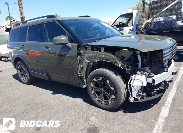 Hyundai Santa Fe 2024, VIN 5NMP3DG11RH009038, 3/5