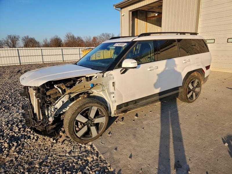 Hyundai Santa Fe 2024, VIN 5NMP3DG17RH012168, 1/5