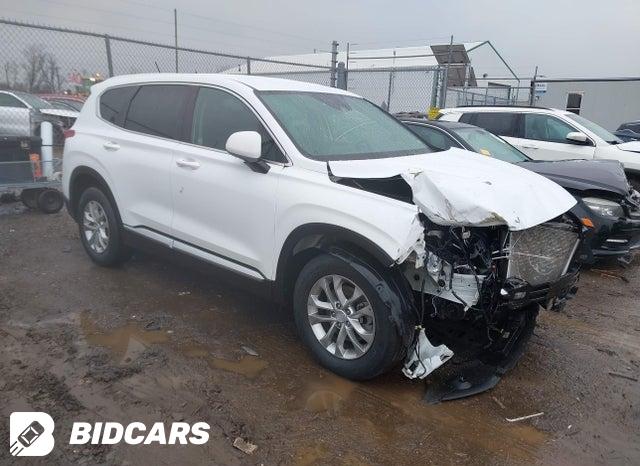 Hyundai Santa Fe 2020, VIN 5NMS5CAA7LH260208, 3/8