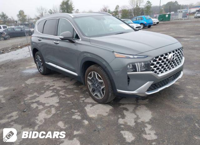 Hyundai Santa Fe 2021, VIN 5NMS6DAJ5MH370761, 9/9