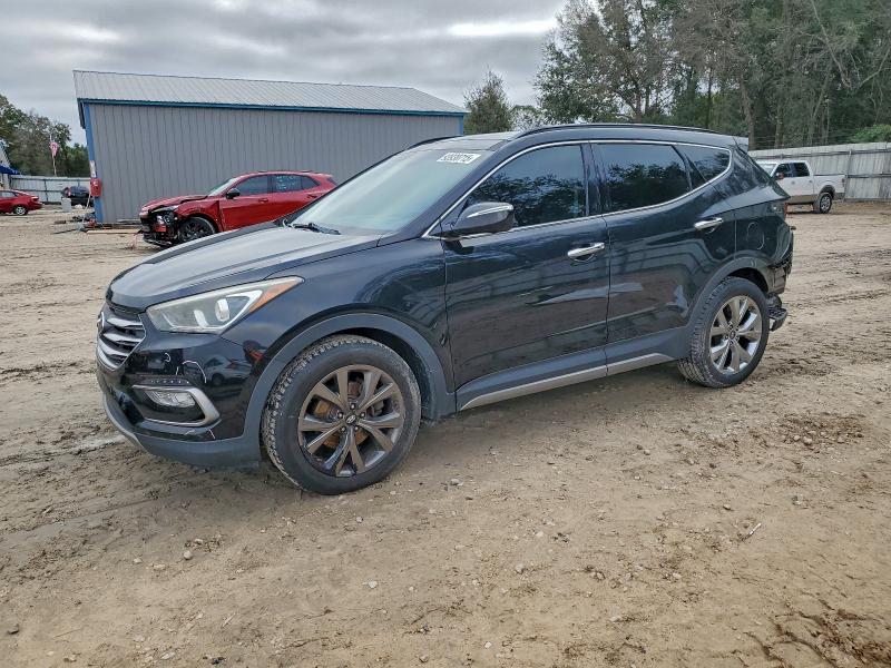 Hyundai Santa Fe 2017, VIN 5NMZTDLB7HH009325, 5/5