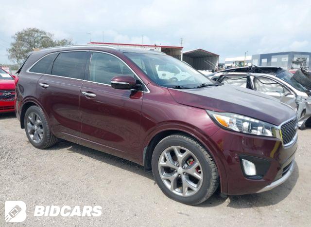 KIA Sorento 2017, VIN 5XYPGDA34HG295507, 2/5