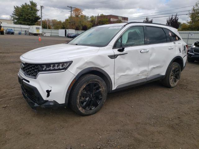 KIA Sorento 2020, VIN 5XYPGDA38LG642023, 2/5