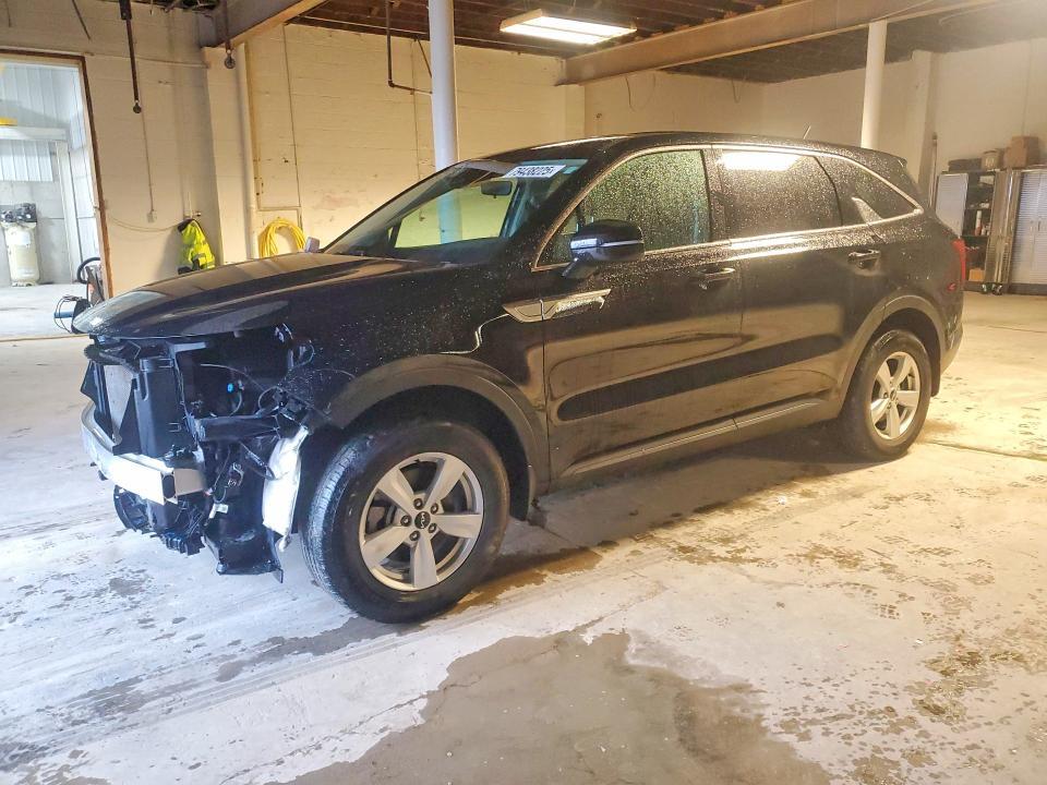 KIA Sorento 2024, VIN 5XYRKDJF2RG272097, 4/5