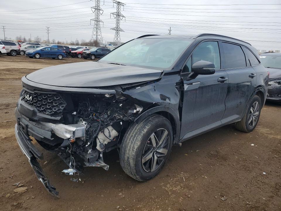 KIA Sorento 2024, VIN 5XYRKDJF2RG272097, 5/5