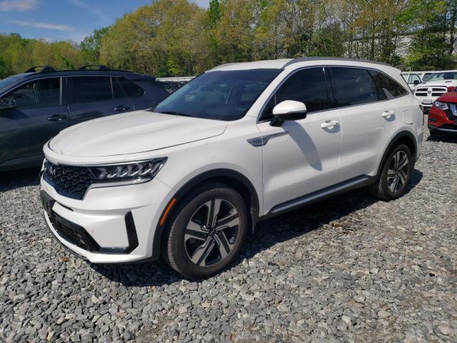 KIA Sorento 2022, VIN 5XYRKDLF1NG120187, 5/8