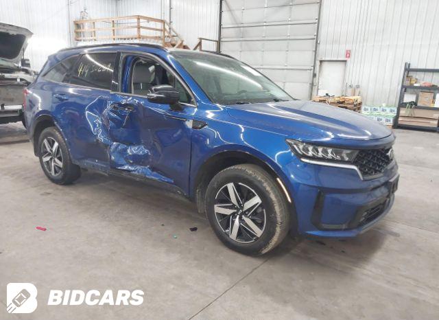 KIA Sorento 2022, VIN 5XYRKDLF1NG120187, 8/8