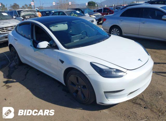 Tesla MODEL 3 2024, VIN 5YJ3E1EA2RF815384, 2/5