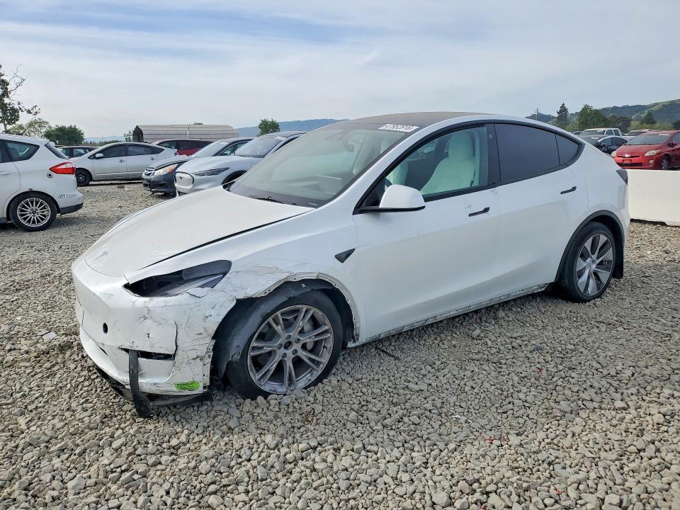 Tesla MODEL Y 2023, VIN 7SAYGDEE5PF593427, 3/5