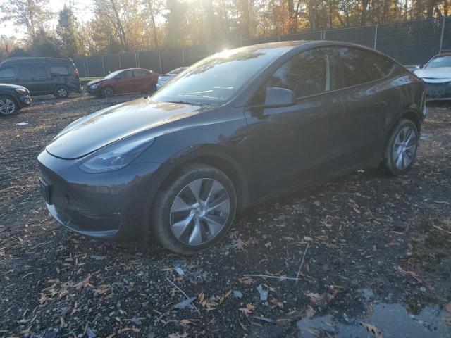 Tesla MODEL Y 2023, VIN 7SAYGDEE6PA117071, 3/5