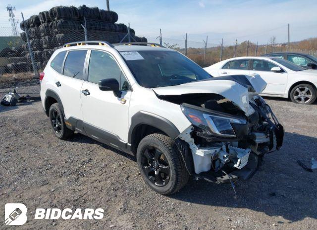 Subaru Forester 2022, VIN JF2SKARC0NH494019, 6/11