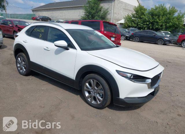 Mazda CX-90 2024, VIN JM3KKDHA5R1104912, 17/21