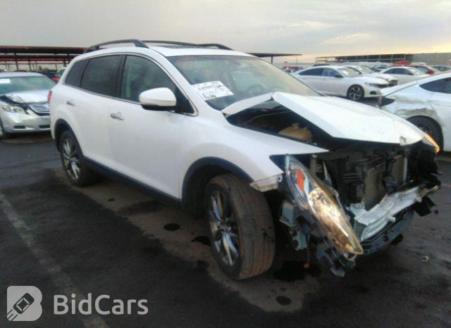 Mazda CX-9 2016, VIN JM3TCBBYXG0109313, 20/21