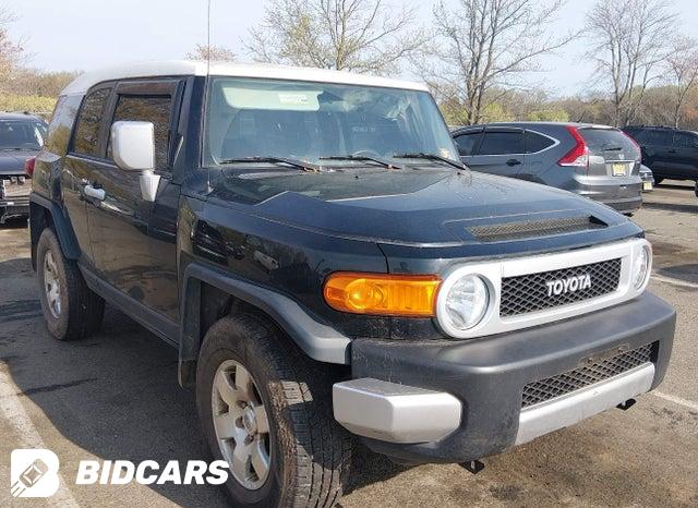 Toyota FJ 2008, VIN JTEBU11F780104692, 13/21