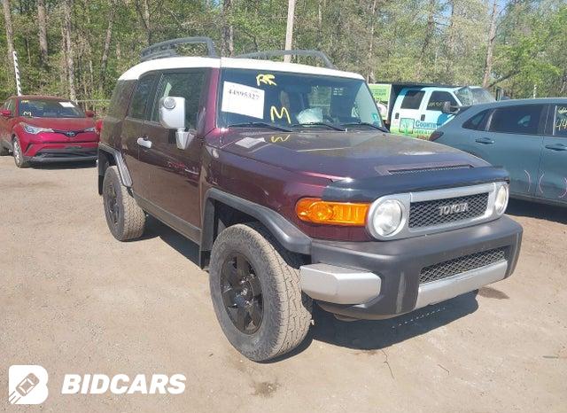 Toyota FJ 2008, VIN JTEBU11F780104692, 17/21