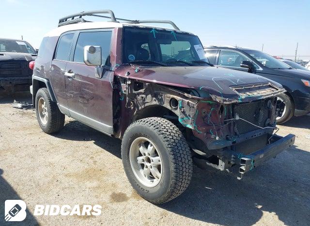 Toyota FJ 2008, VIN JTEBU11F780104692, 18/21