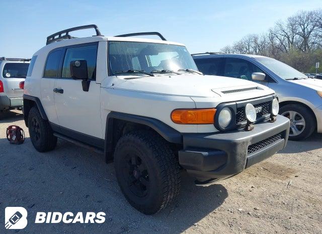 Toyota FJ 2008, VIN JTEBU11F780104692, 19/21