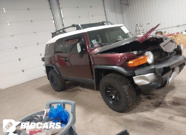 Toyota FJ 2008, VIN JTEBU11F780104692, 20/21