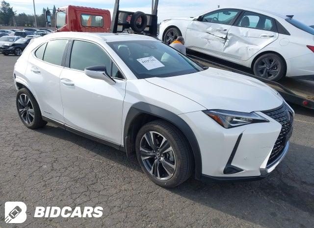 Lexus UX 250H 2020, VIN JTHR9JBH3L2032003, 4/5