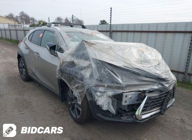 Lexus UX 250H 2020, VIN JTHX9JBH9L2035365, 2/11