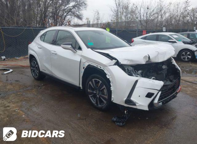 Lexus UX 2021, VIN JTHX9JBH9M2046609, 5/5