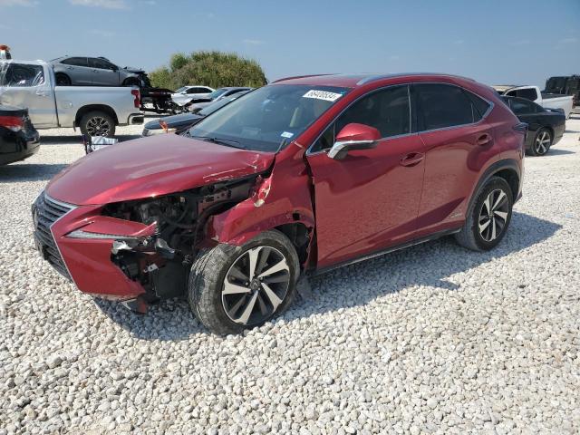 Lexus NX 2019, VIN JTJBJRBZ2K2109165, 3/5
