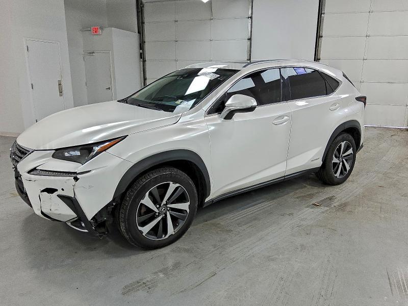 Lexus NX 2019, VIN JTJYARBZ0K2141851, 2/5