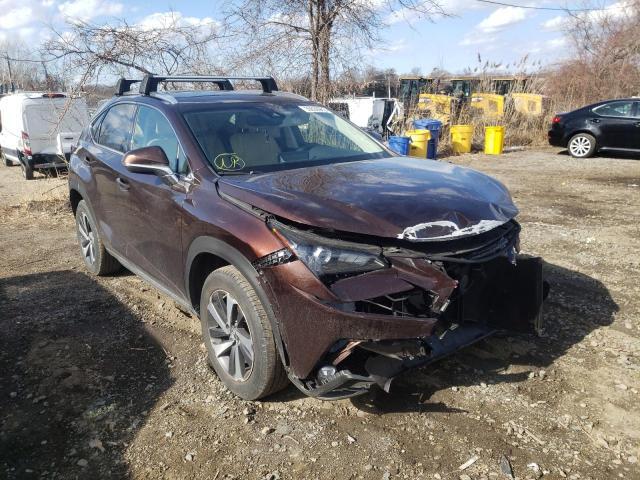 Lexus NX 2019, VIN JTJYARBZ3K2142105, 11/20