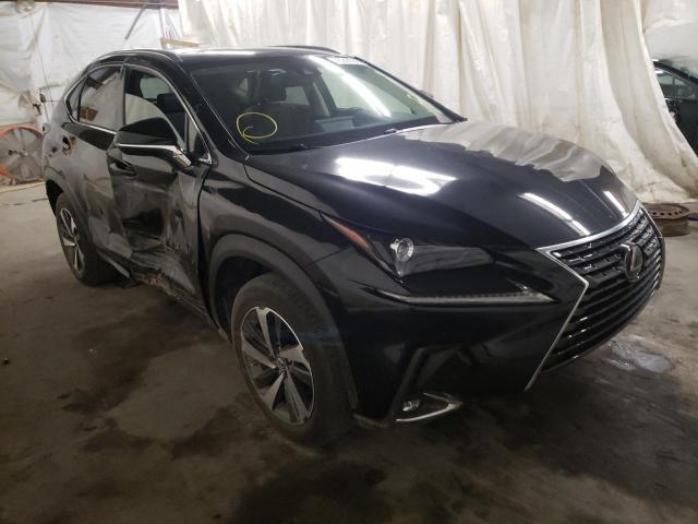 Lexus NX 2019, VIN JTJYARBZ3K2142105, 19/20
