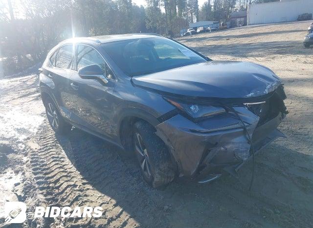 Lexus NX 300 2018, VIN JTJYARBZ5J2114515, 1/10