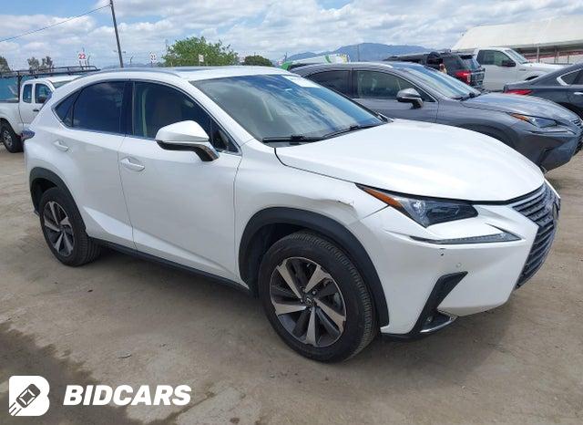 Lexus NX 300 2018, VIN JTJYARBZ5J2114515, 9/10